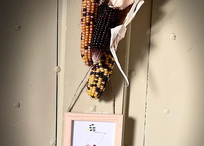 'petit Beguin' Au Coeur D'uzes * Uzès